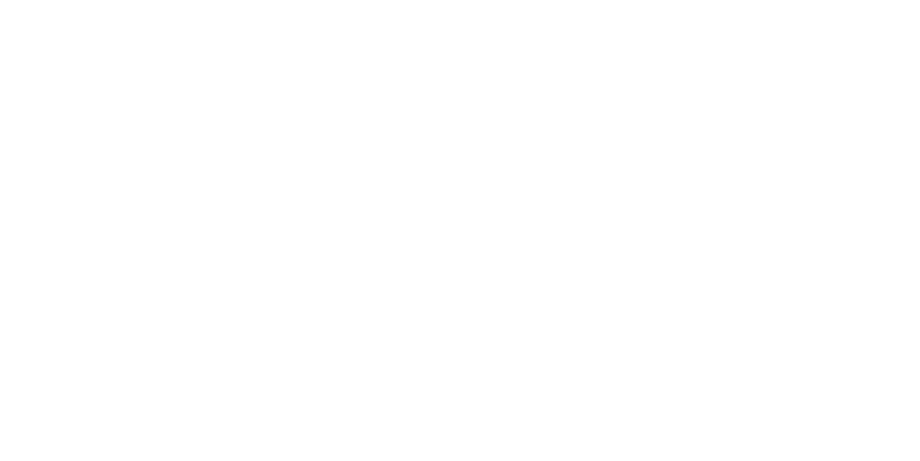 Regional Business Centre Logo